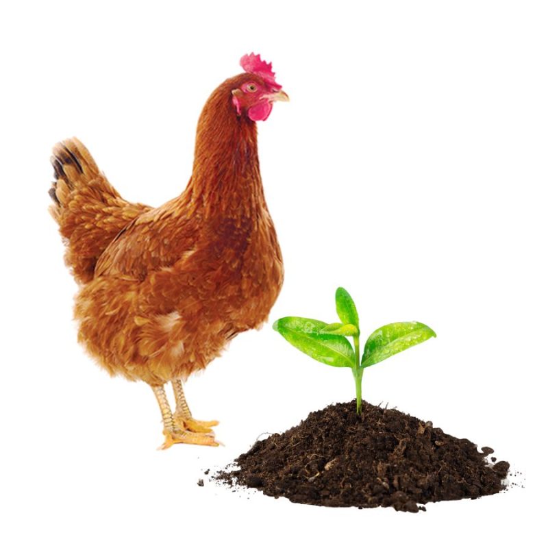 BiofertilPlus imagine gaina